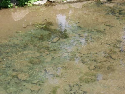 Bild 3 von Rothoborn- und Dielenpader am Geisselschen Garten